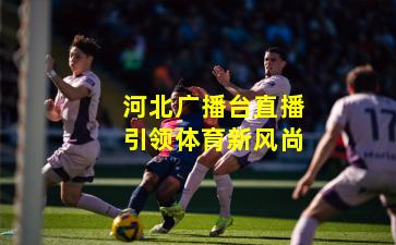 河北广播台直播引领体育新风尚