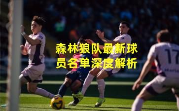 森林狼队最新球员名单深度解析