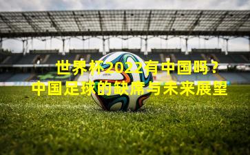世界杯2022有中国吗？中国足球的缺席与未来展望