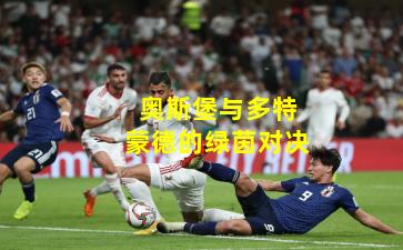 奥斯堡与多特蒙德的绿茵对决