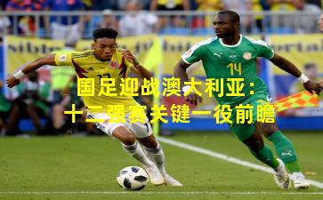 国足迎战澳大利亚：十二强赛关键一役前瞻