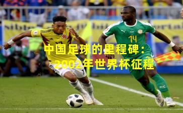 中国足球的里程碑：2002年世界杯征程
