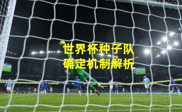 世界杯种子队确定机制解析