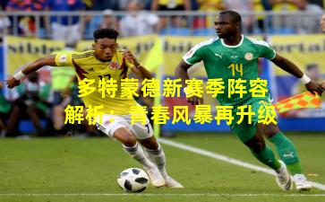 多特蒙德新赛季阵容解析:青春风暴再升级