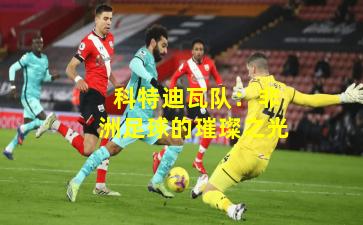 科特迪瓦队:非洲足球的璀璨之光