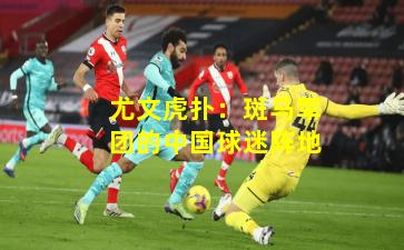 尤文虎扑：斑马军团的中国球迷阵地