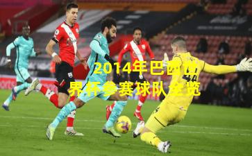 2014年巴西世界杯参赛球队全览