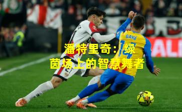 潘特里奇:绿茵场上的智慧舞者