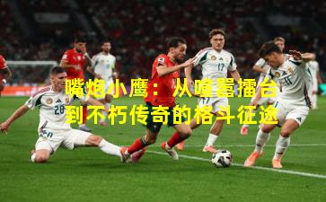 嘴炮小鹰:从喧嚣擂台到不朽传奇的格斗征途